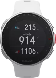 Polar Vantage V (medium _ large)